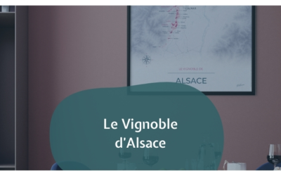 Le Vignoble d’Alsace