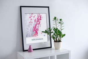 Mâconnais