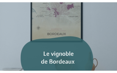 Le vignoble de Bordeaux