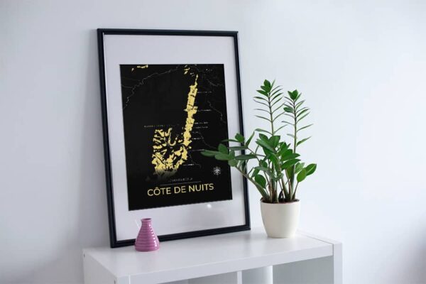 Côte de Nuits