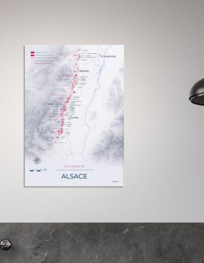 207c396a-60d0-4d73-ae02-063d196b4905