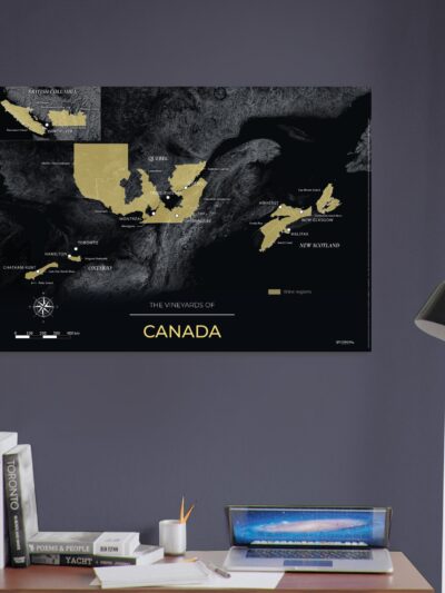 2cee9cd6-7464-4865-b91c-5febe2f71894