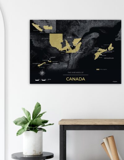 3164c749-22c1-49a0-9fa9-a1925aef10d6