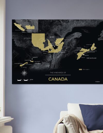 7475d369-bfc9-4477-8fc6-714187a8e9f0