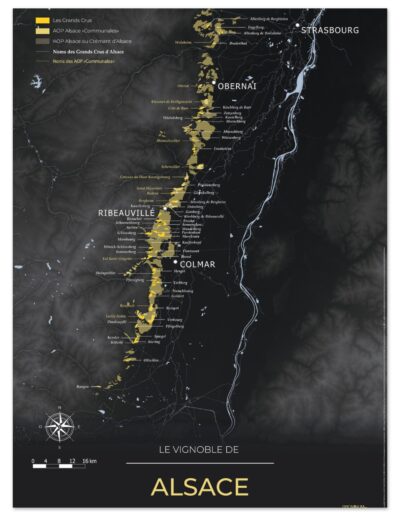 89b6ed9b-b2b4-454e-94b1-66f68eac97aa