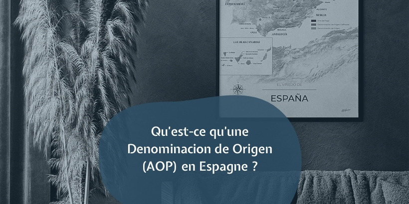 Visuel article de blog Qu'est-ce qu'une Denominacion de Origen (AOP) en Espagne ?