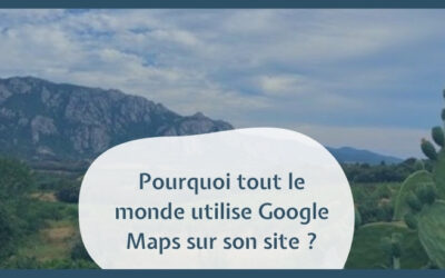 Why is everyone using Google Maps on their site?