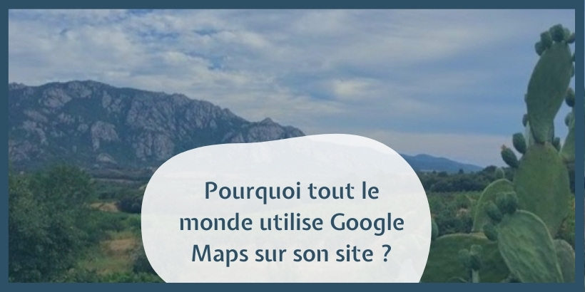 Pourquoi tout le monde utilise Google Maps sur son site ?