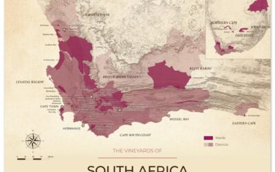 Road-trip sensoriel : carte viticole d’Afrique du Sud et ses 90 terroirs